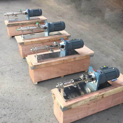 Industrial Water Treatment Dosing Pump/Dosing Screw Pump