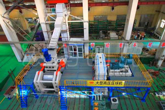 추운 / 가온 브릿켓 기계 100TPH 야금학 기계와 볼 프레스기