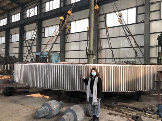 로터리 킬른을 위한 UNI EN ISO 표준 120MT 큰 공장 거스 기어